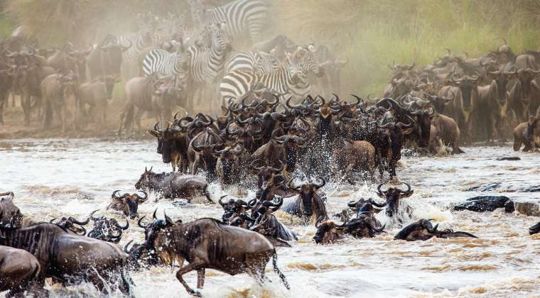 National Parks Tanzania - Maasai Boy Adventures